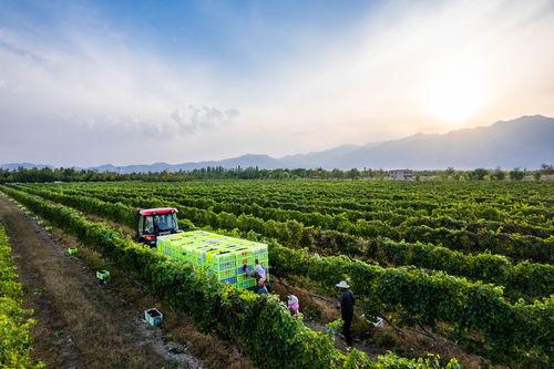 国产视频3p,揭秘中国影视行业的新趋势与挑战  第2张