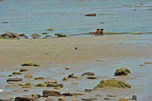 爱情岛国产,探寻异域风情的爱情秘境  第2张